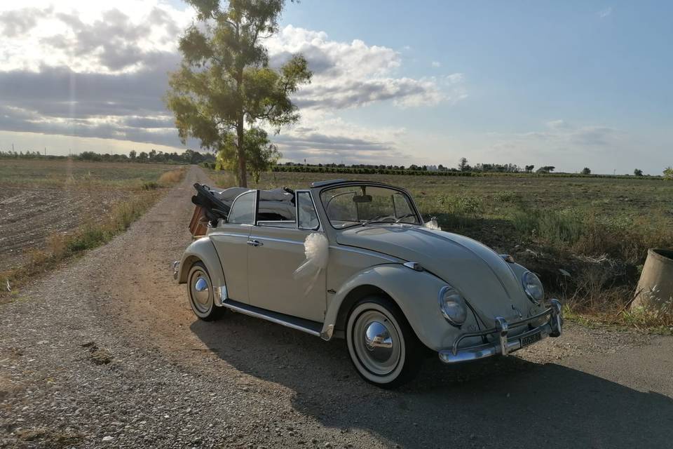 Maggiolino cabriolet beige