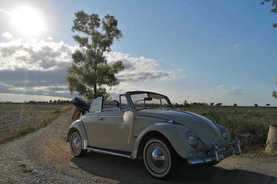 Maggiolino cabriolet beige