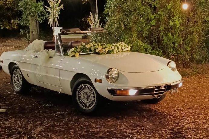 Alfa romeo spider duetto