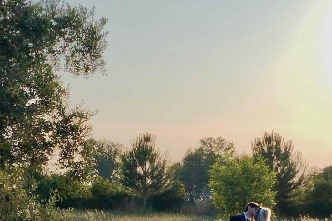 Alfa romeo spider duetto