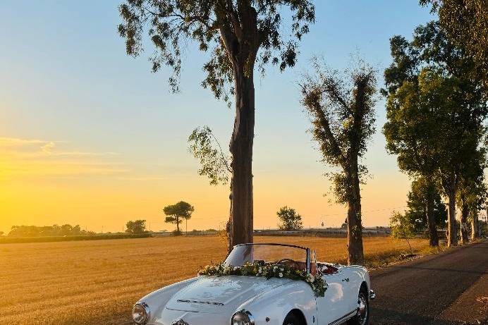 ALFA ROMEO GIULIA SPIDER 1963