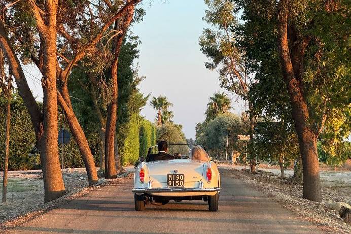 ALFA ROMEO GIULIA SPIDER 1963