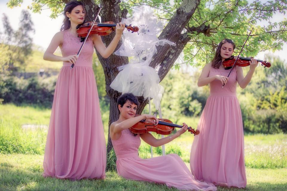 Giulia Ermirio Violista e Violinista