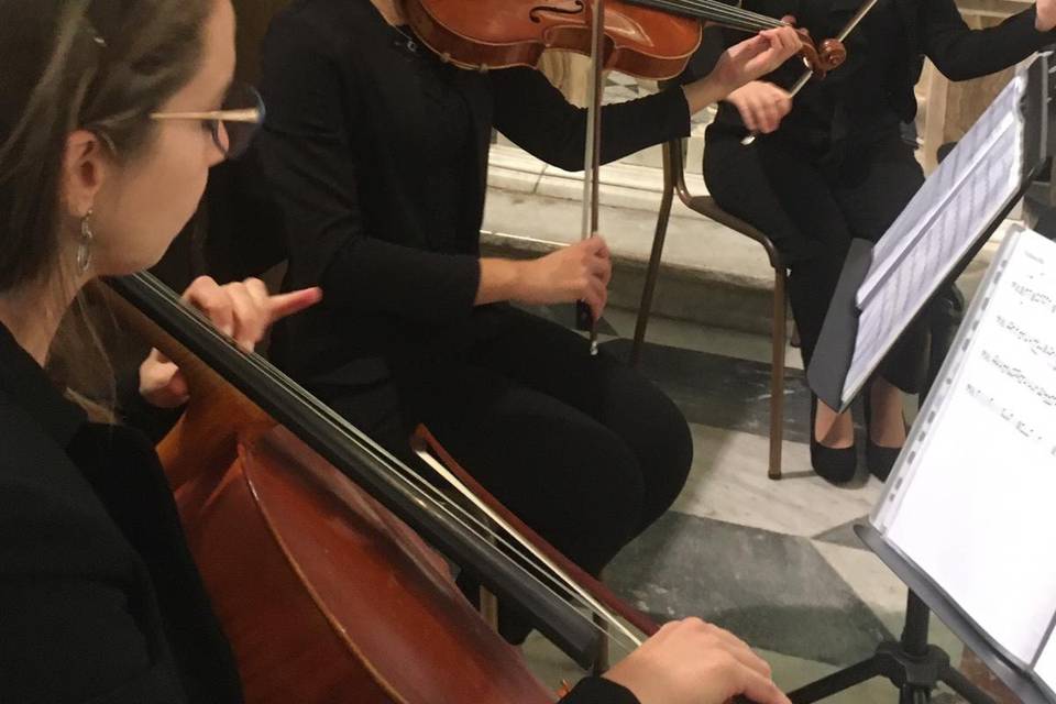 Giulia Ermirio Violista e Violinista