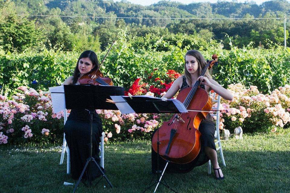 Giulia Ermirio Violista e Violinista