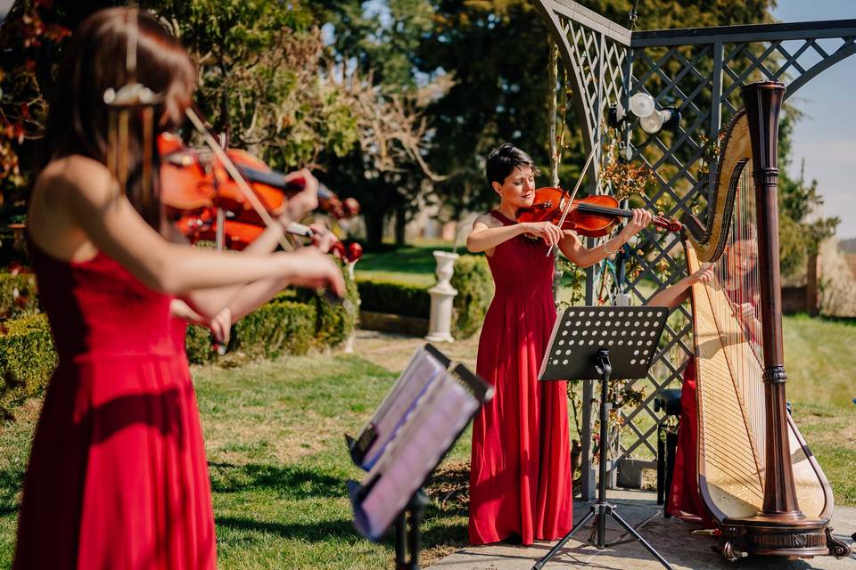 Giulia Ermirio Violista e Violinista