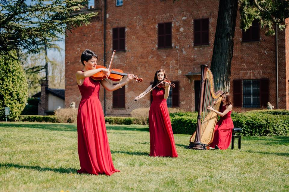 Giulia Ermirio Violista e Violinista