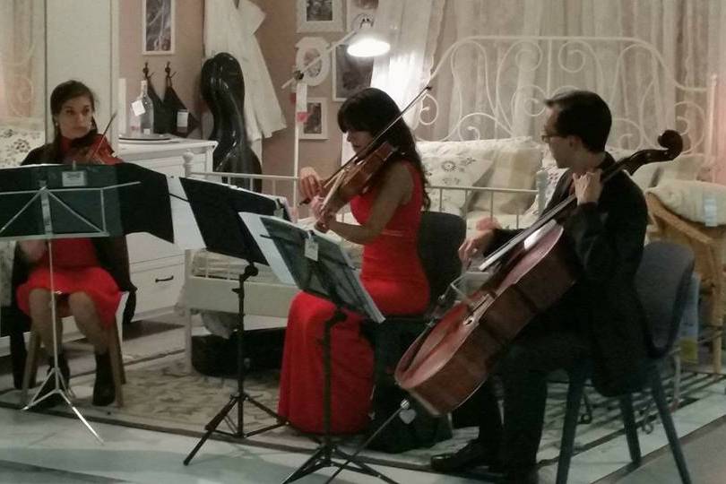 Giulia Ermirio Violista e Violinista