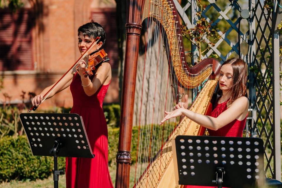 Giulia Ermirio Violista e Violinista