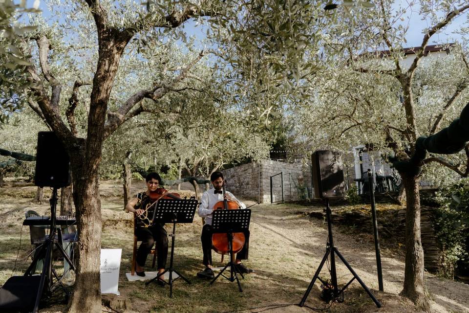 Giulia Ermirio Violista e Violinista