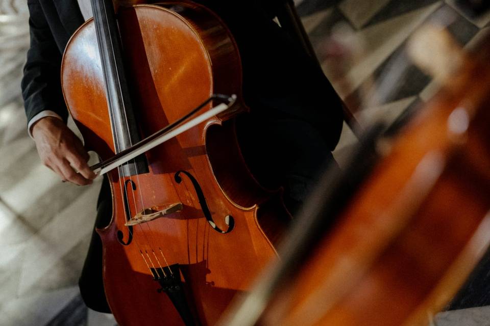 Giulia Ermirio Violista e Violinista