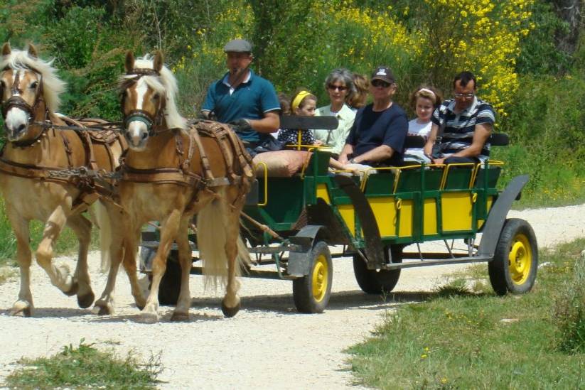 Eventi in carrozza