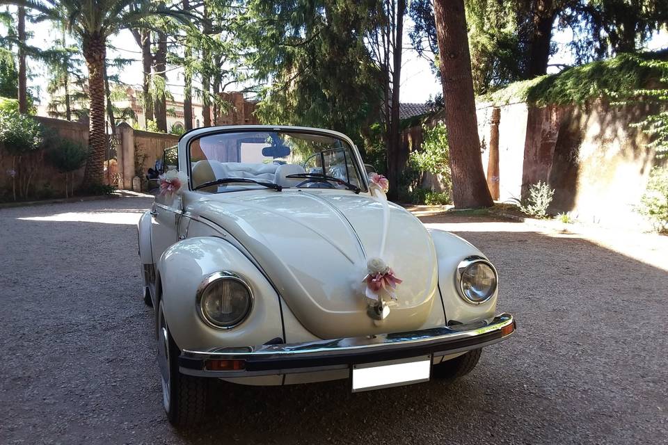 Maggiolone cabrio bianco