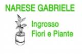 Narese Gabriele logo