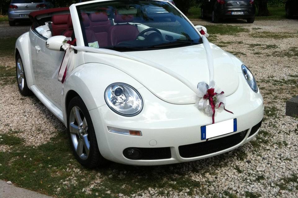 New Beetle cabrio