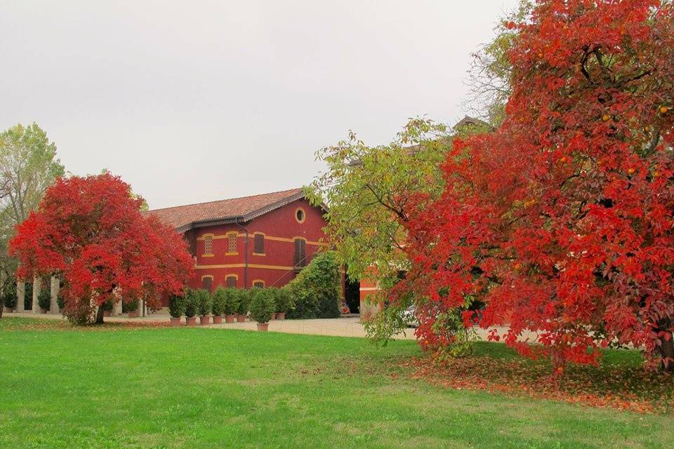 Agriturismo Matrimonio Treviso