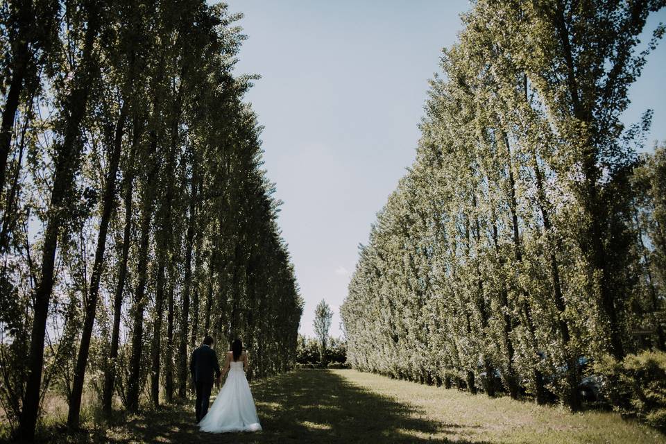 Agriturismo Matrimonio Treviso
