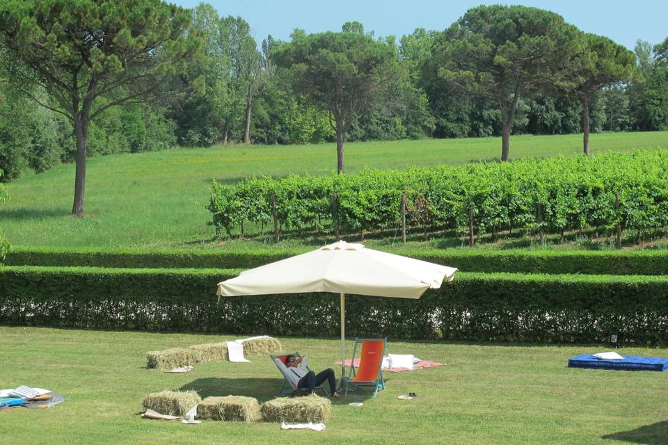 Agriturismo Matrimonio Treviso