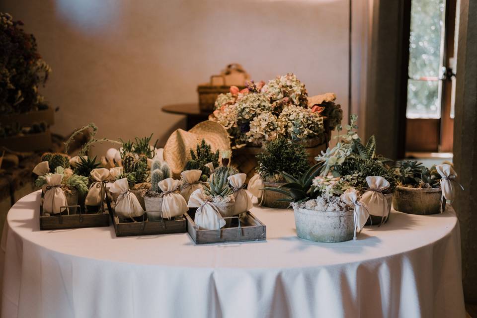 Agriturismo Matrimonio Treviso