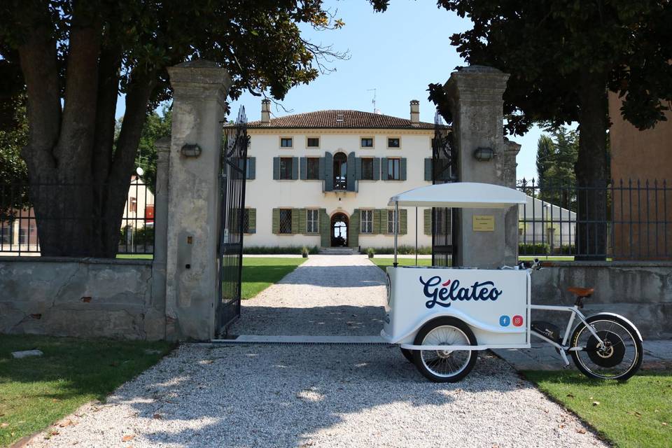 Gelateo - Gelati e granite