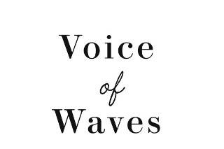Voice of Waves - acoustic duo