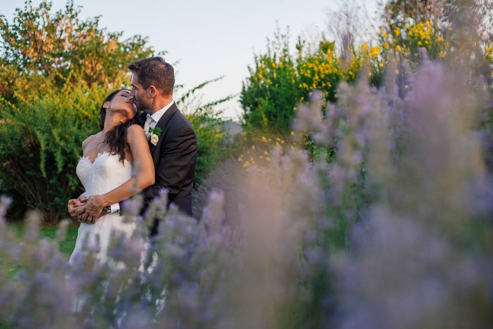 Bacio tra la lavanda