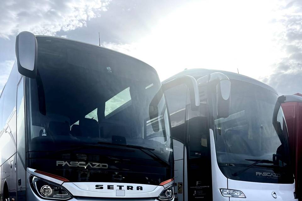 Bus 50 54 posti