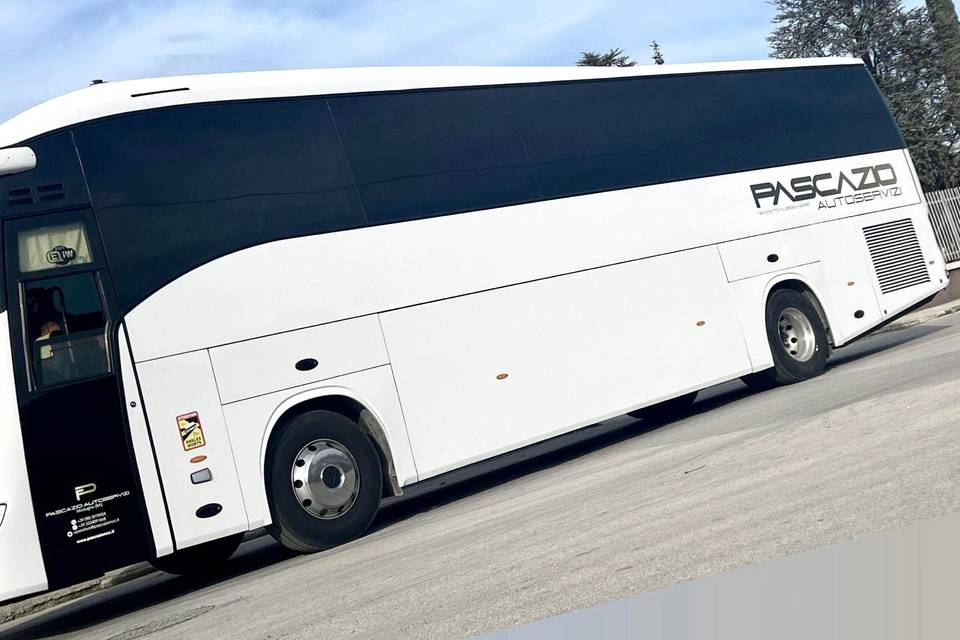 Vetri oscurati bus