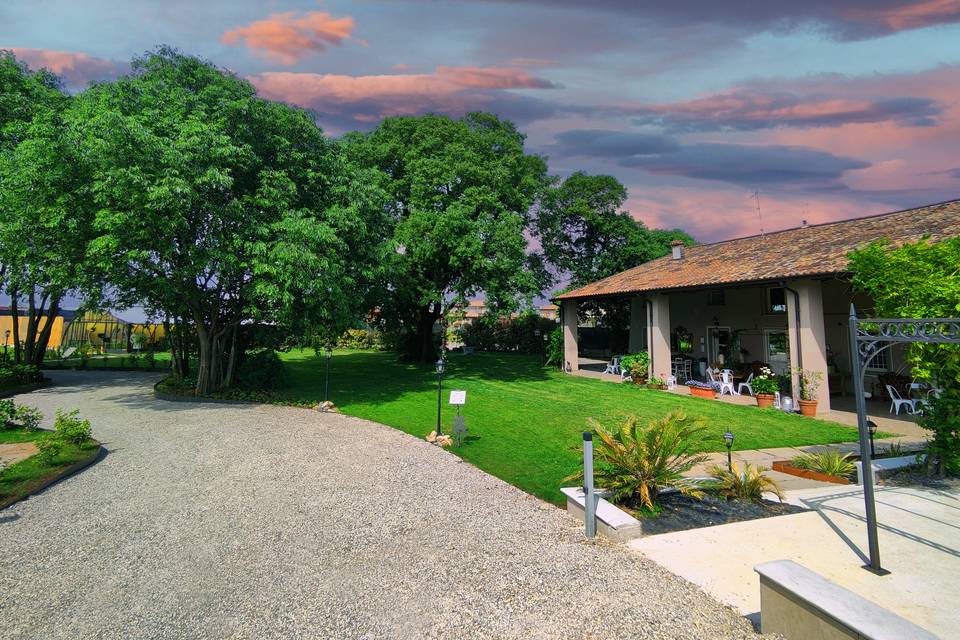 Ingresso
