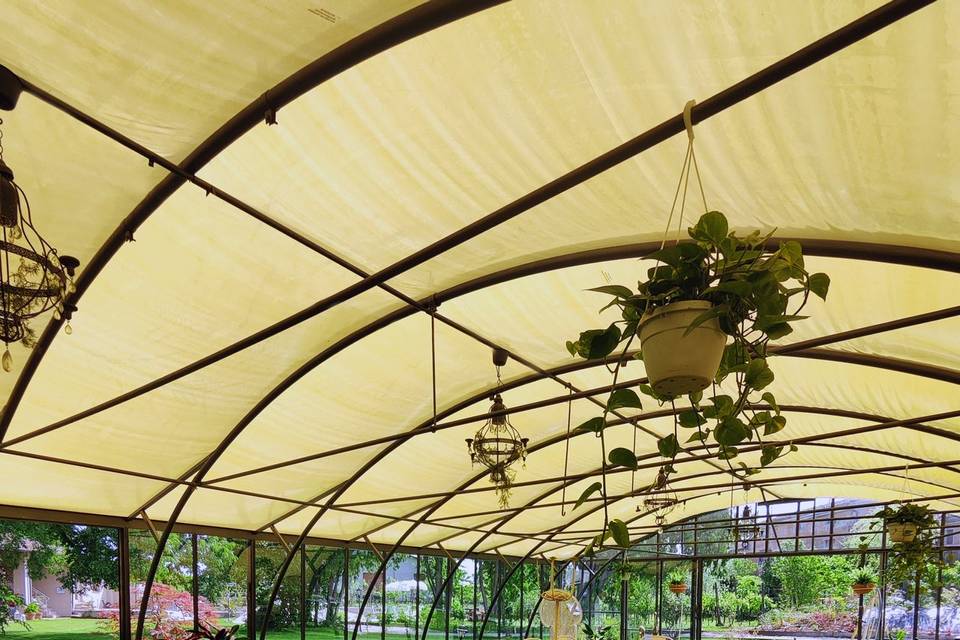 Orangerie