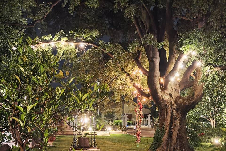 Il pozzo e l'albero millenario