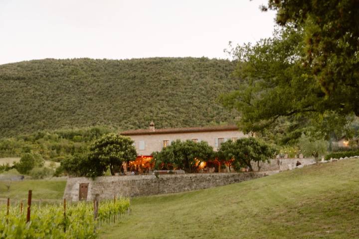 Vineria Del Carmine
