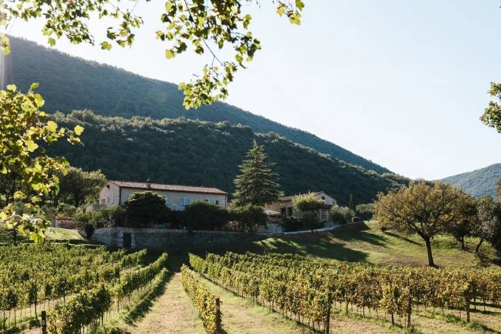 Vineria del Carmine