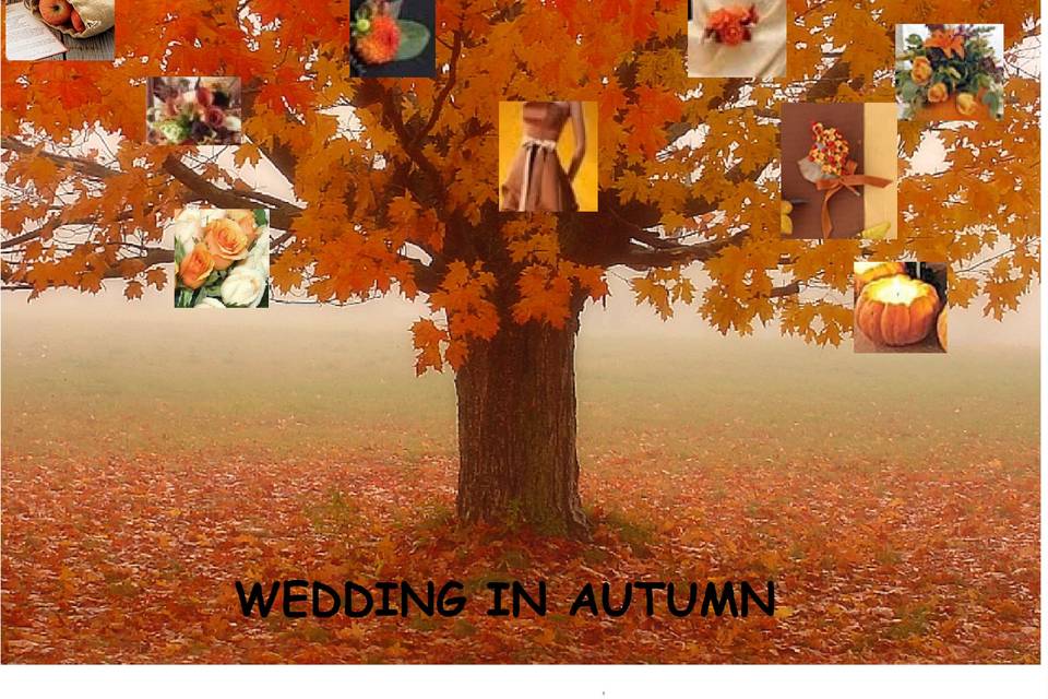 Matrimonio in autunno