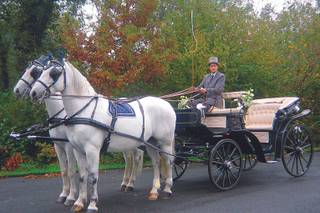 White Horse