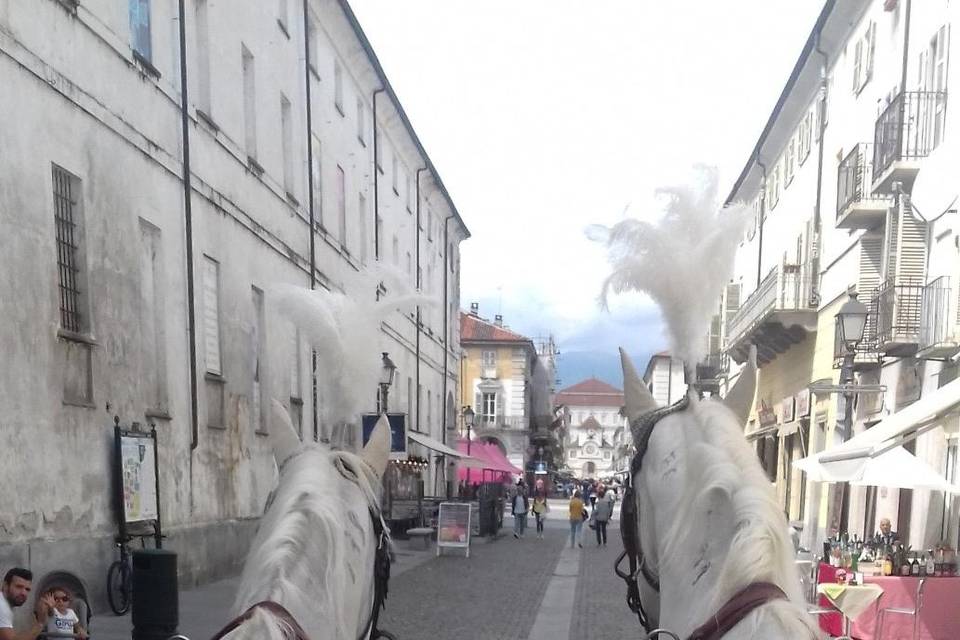 Servizio a Venaria Reale