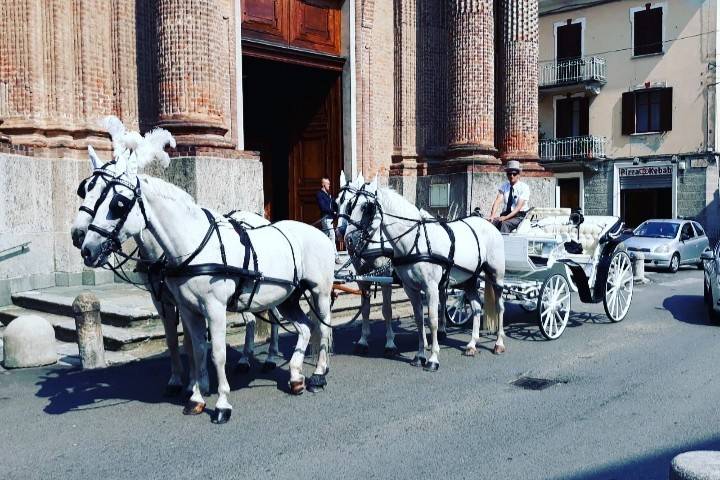 Matrimonio quattro cavalli