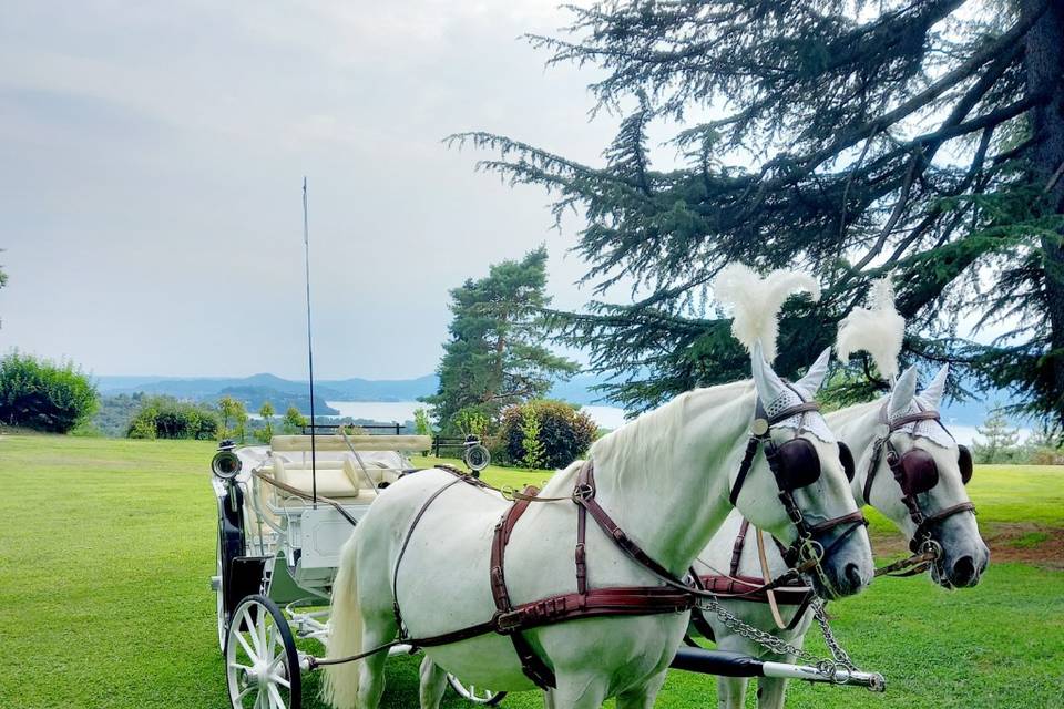 Carrozza Lux