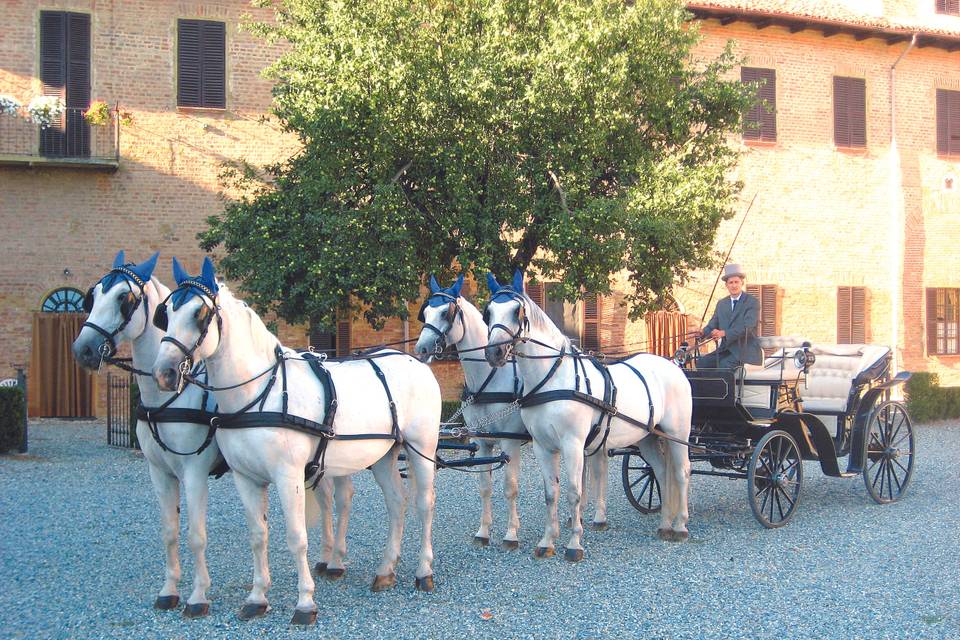 Matrimonio quattro cavalli
