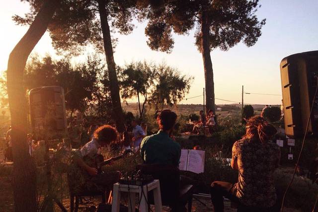 Live trio cantagallo