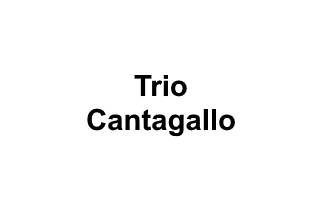 Trio Cantagallo logo