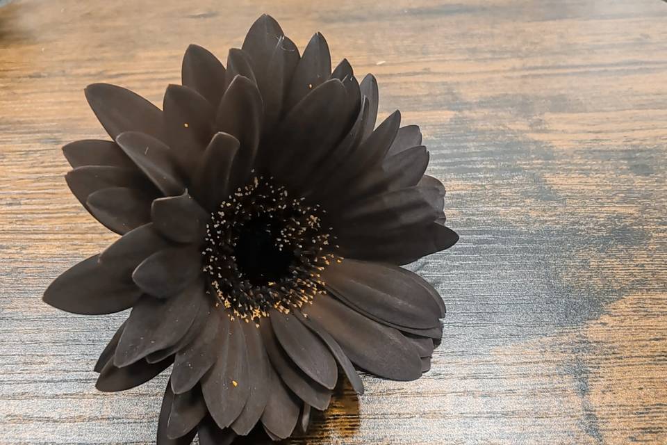 Decorazioni