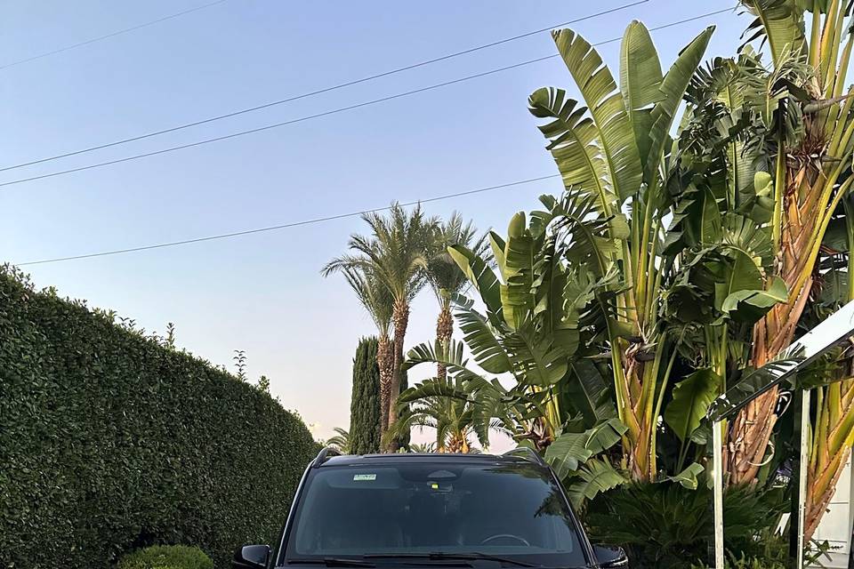 Mercedes-Benz Classe V 300  EX