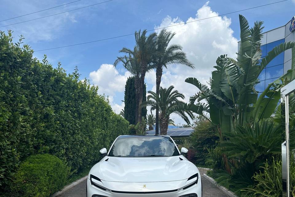 Ferrari Purosangue