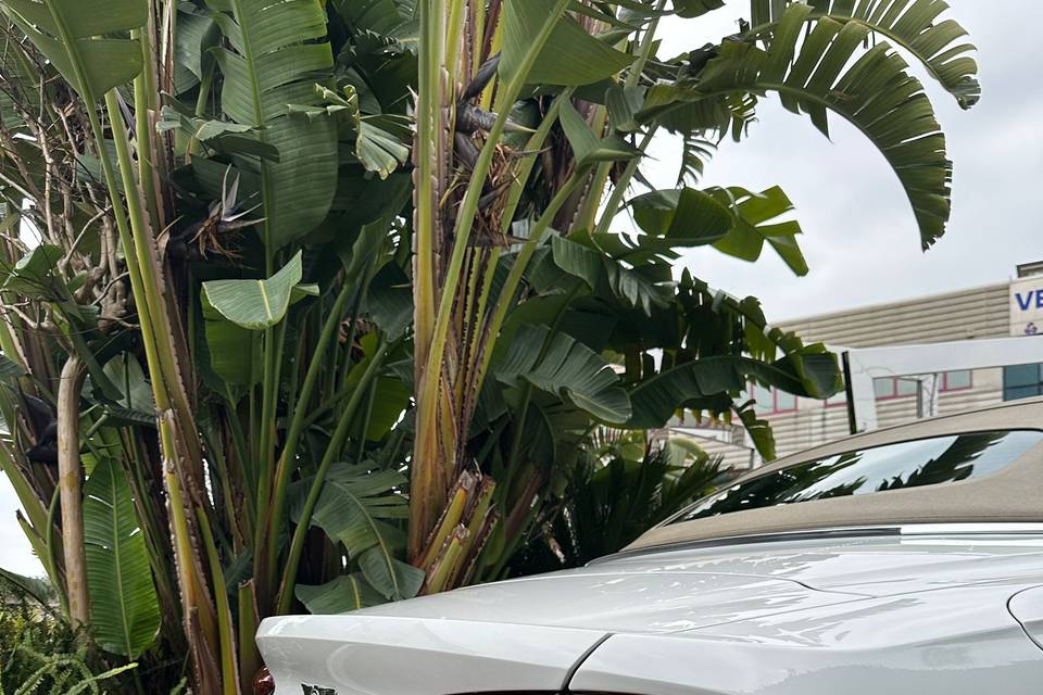 Bentley GTC Mulliner