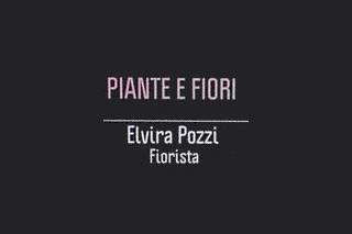 Piante e Fiori di Elvira Pozzi  logo