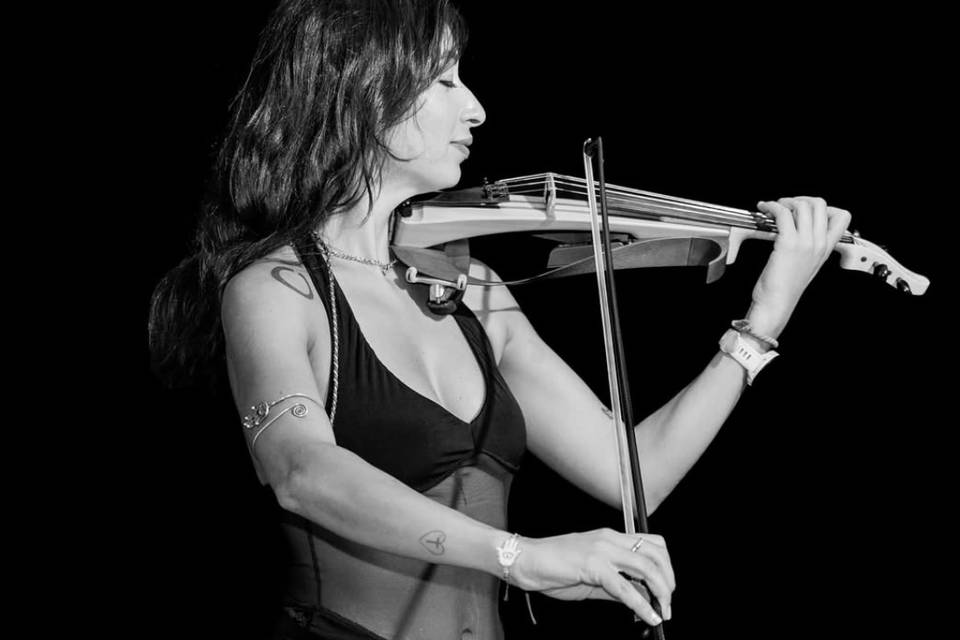 Violin performer