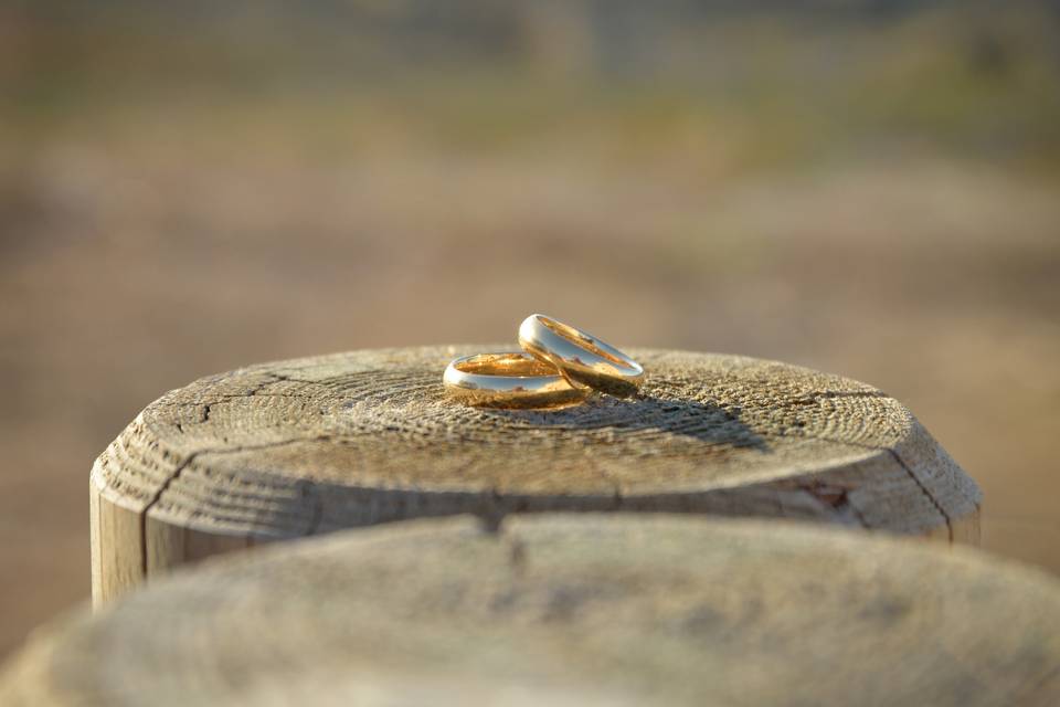 Wedding Rings