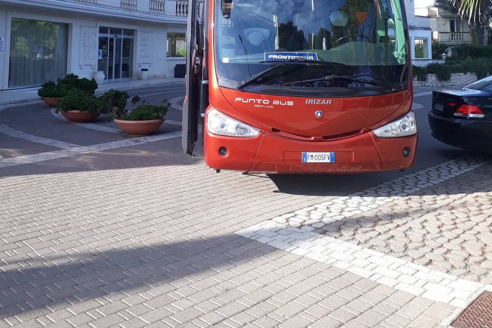 Punto bus service