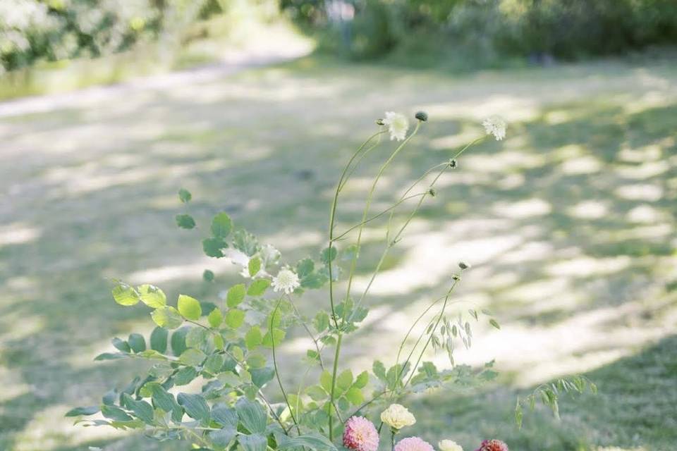 Dalia’s wedding 31/08